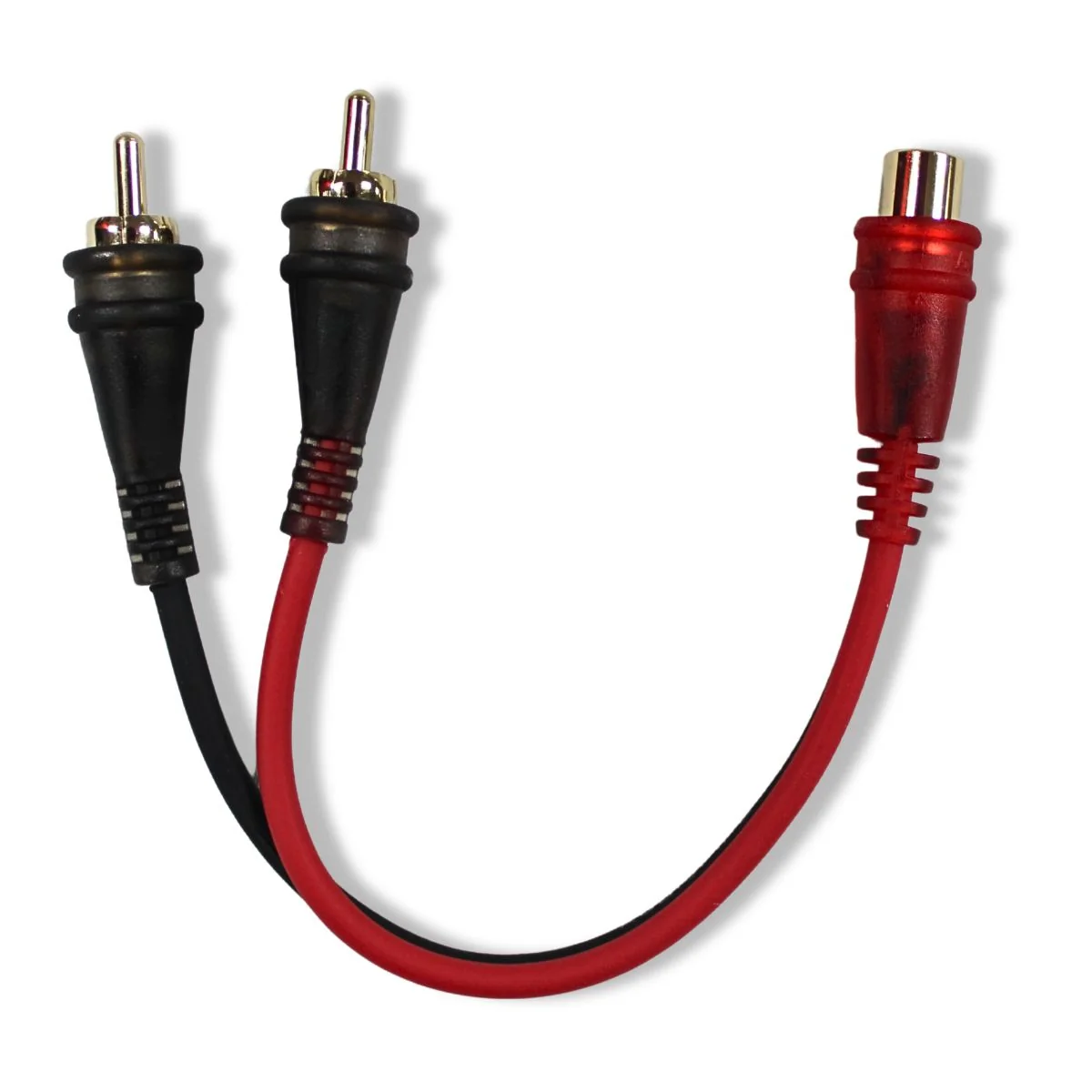 Audiopipe high-performance 6" Frosted Female to Dual Male RCA Y-Cable AMFV-YF-2M