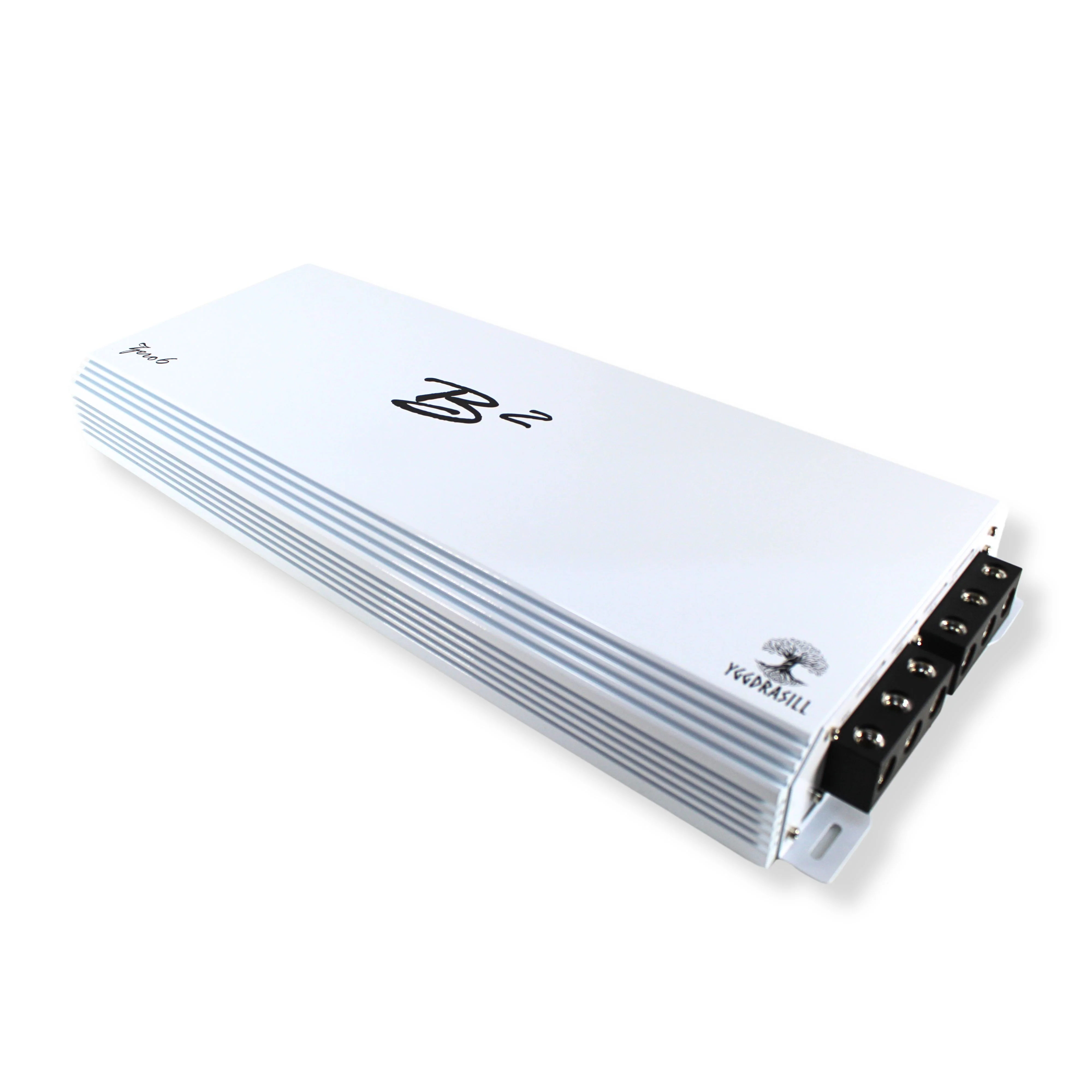 B2 Audio ZERO 6 "Yggdrasil" 6K W 1-Ohm Monoblock Class-D Half Bridge Amplifier - Image 3