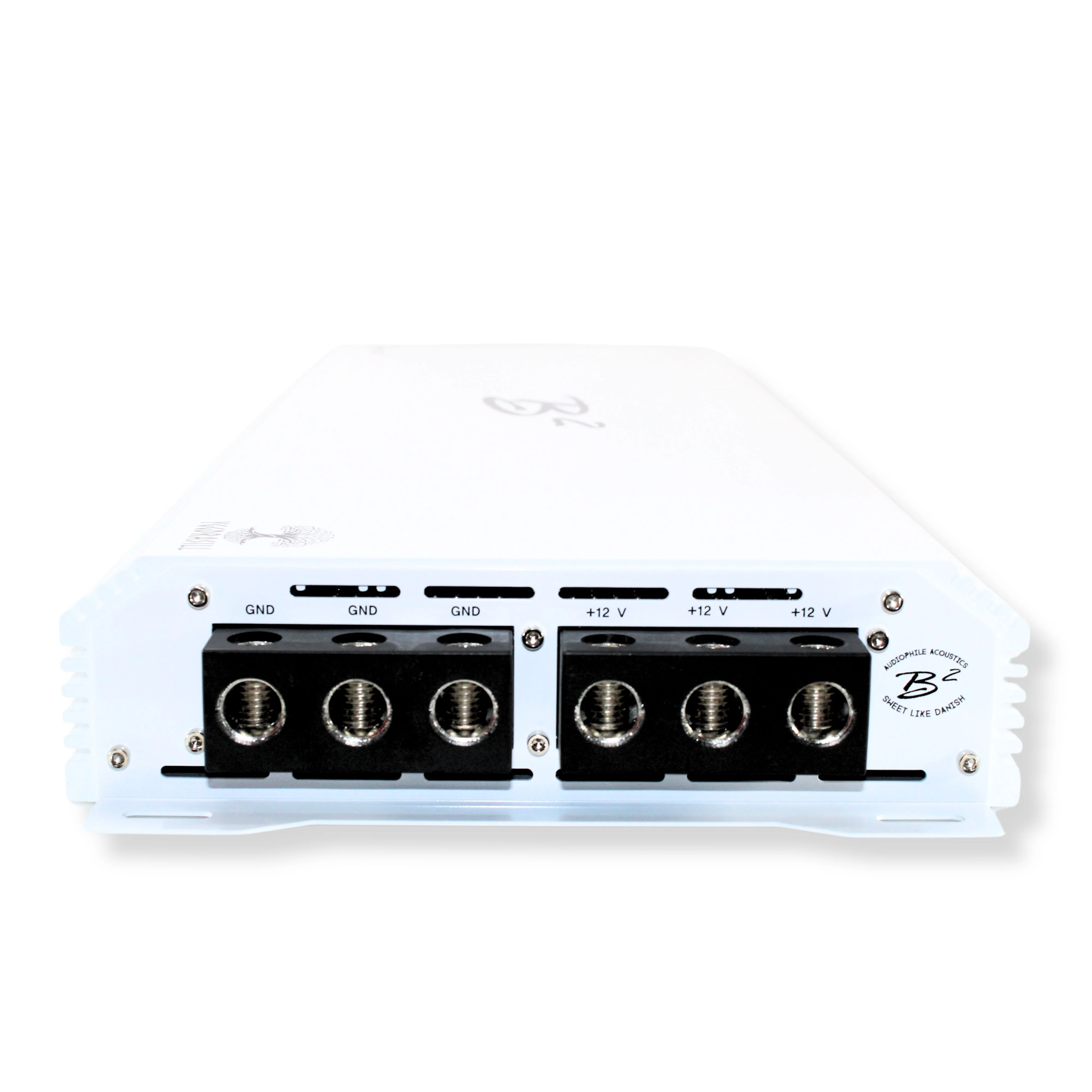 B2 Audio ZERO 6 "Yggdrasil" 6K W 1-Ohm Monoblock Class-D Half Bridge Amplifier - Image 4