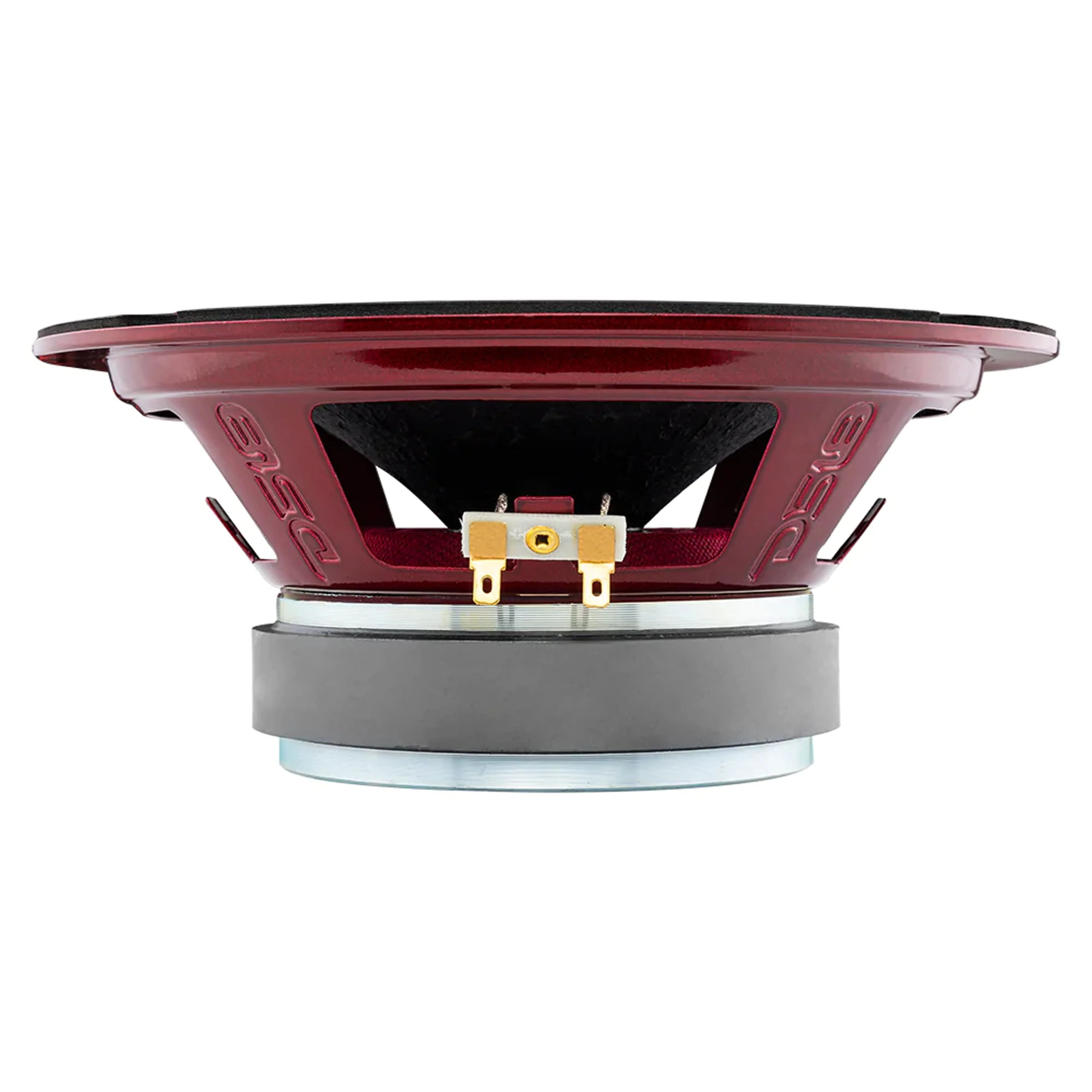 DS18 8" 4 Ohm 550W Midrange Loudspeaker w/ RGB LED Lights PRO-X8.4RGBCAP - Image 5