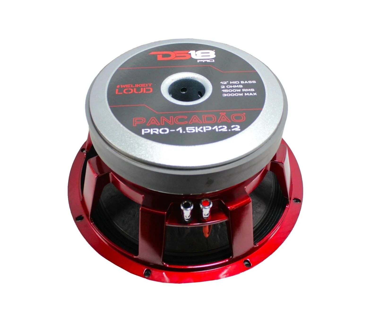 DS18 PANCADO Series12" Mid-Bass Loudspeaker 3000W Max 2-Ohm PRO-1.5KP12.2 - Image 5