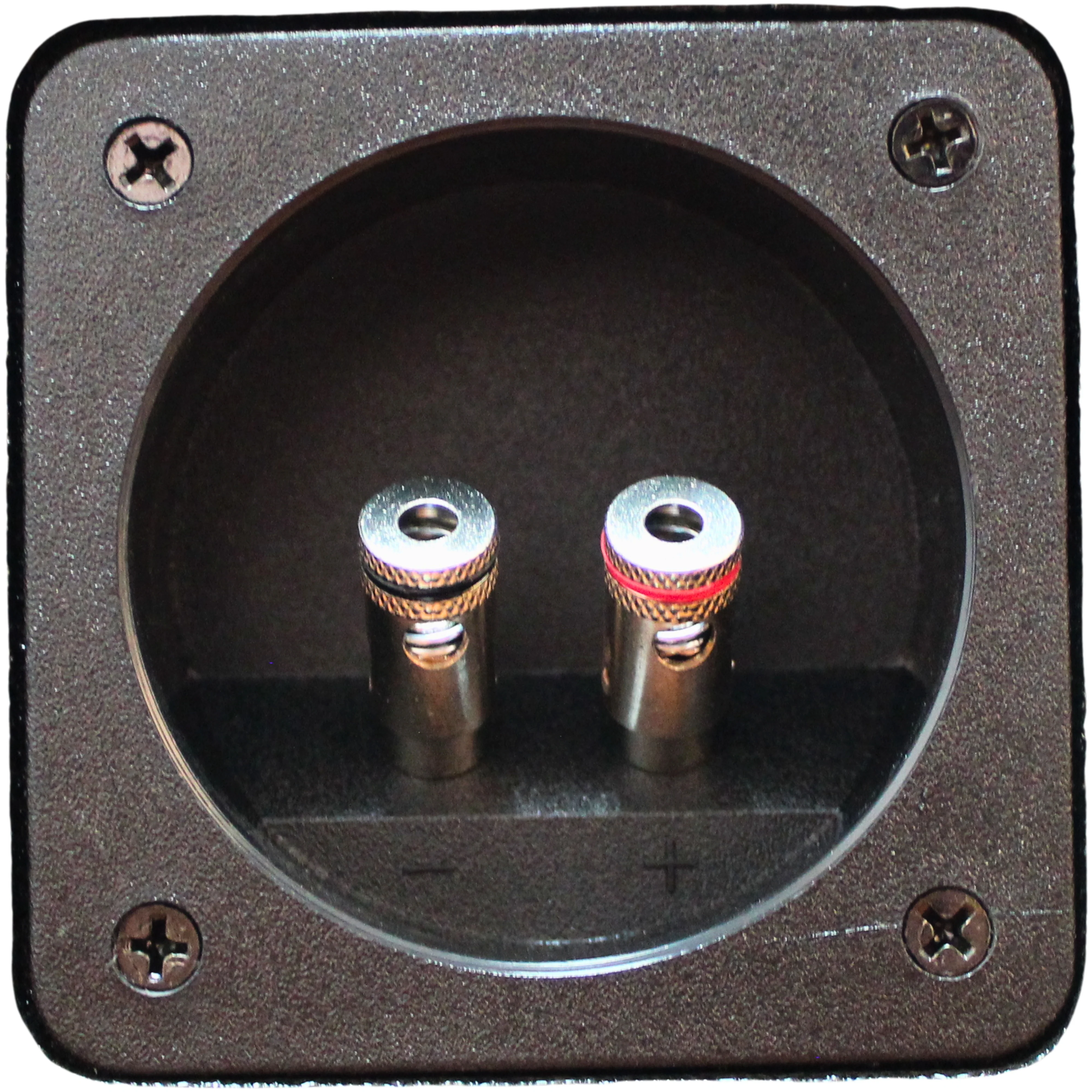 King Boxes Quad  8" 19-UP Ram Front Fire Ported Sprayed Speaker Box AK-DG19-48 - Image 8
