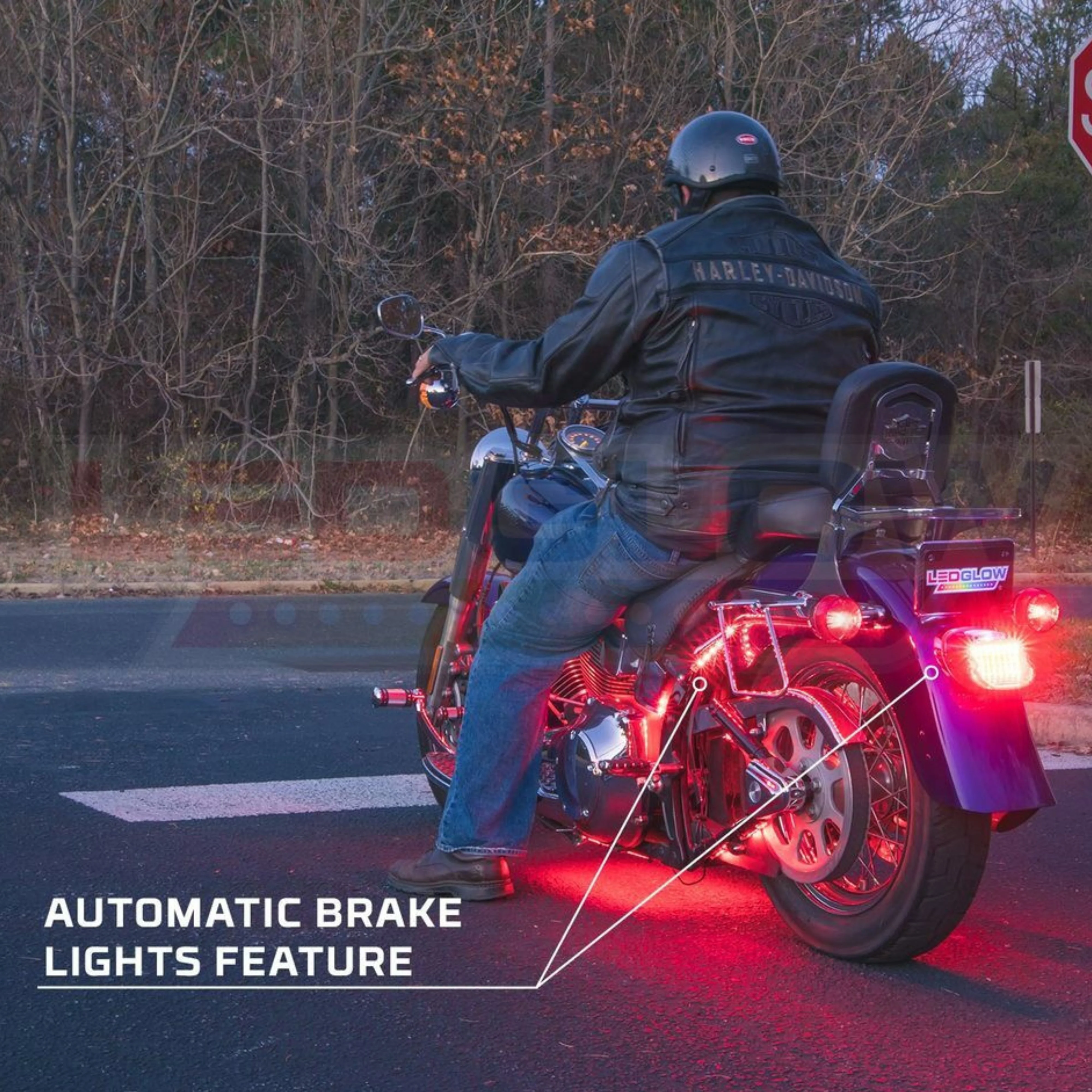 LEDGlow 8pc Multi-Color Motorcycle Underglow Light Kit Flexible LED Light Strips - Image 2