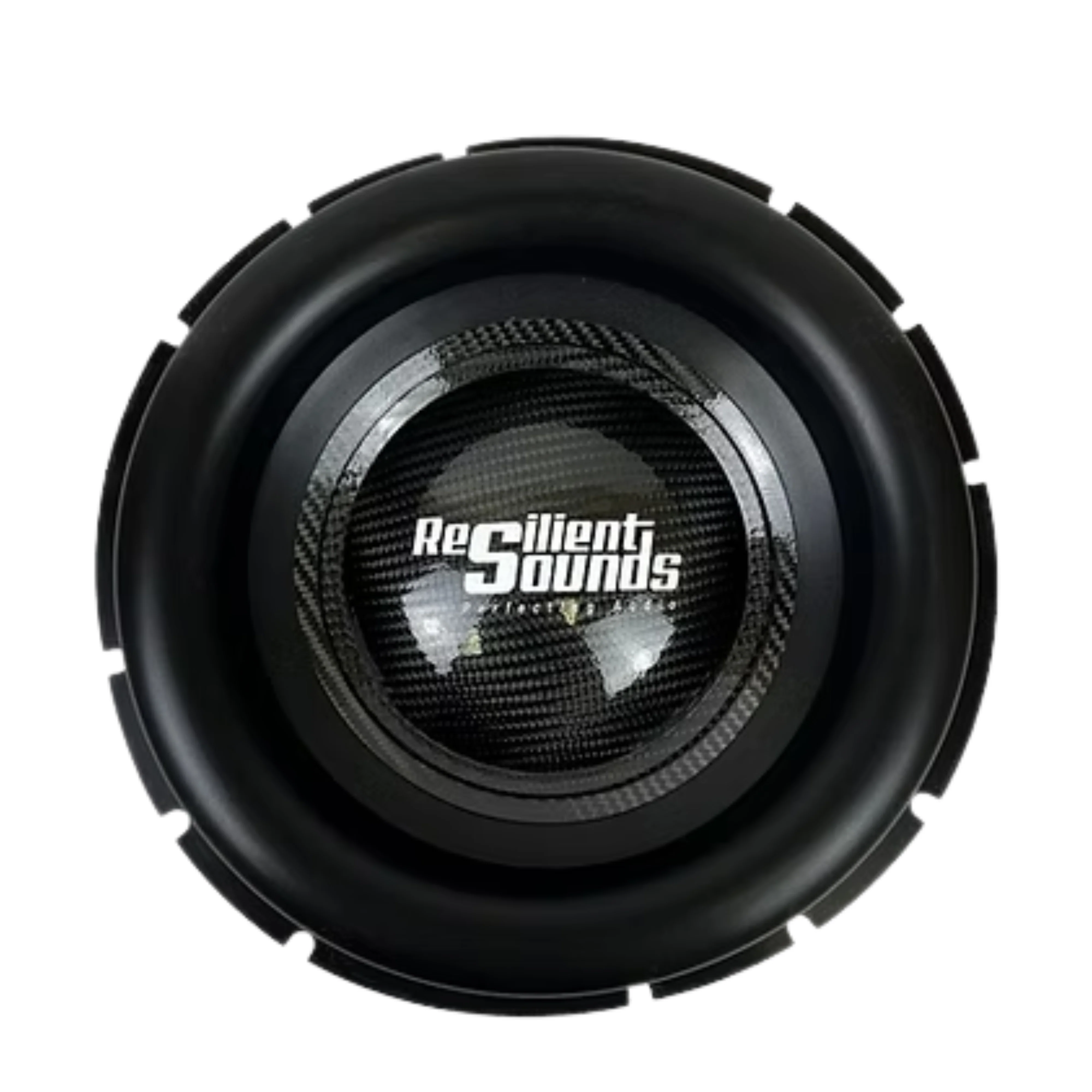 Resilient Sounds V2 Platinum 10" Dual 2 Ohm Subwoofer Recone Kit
