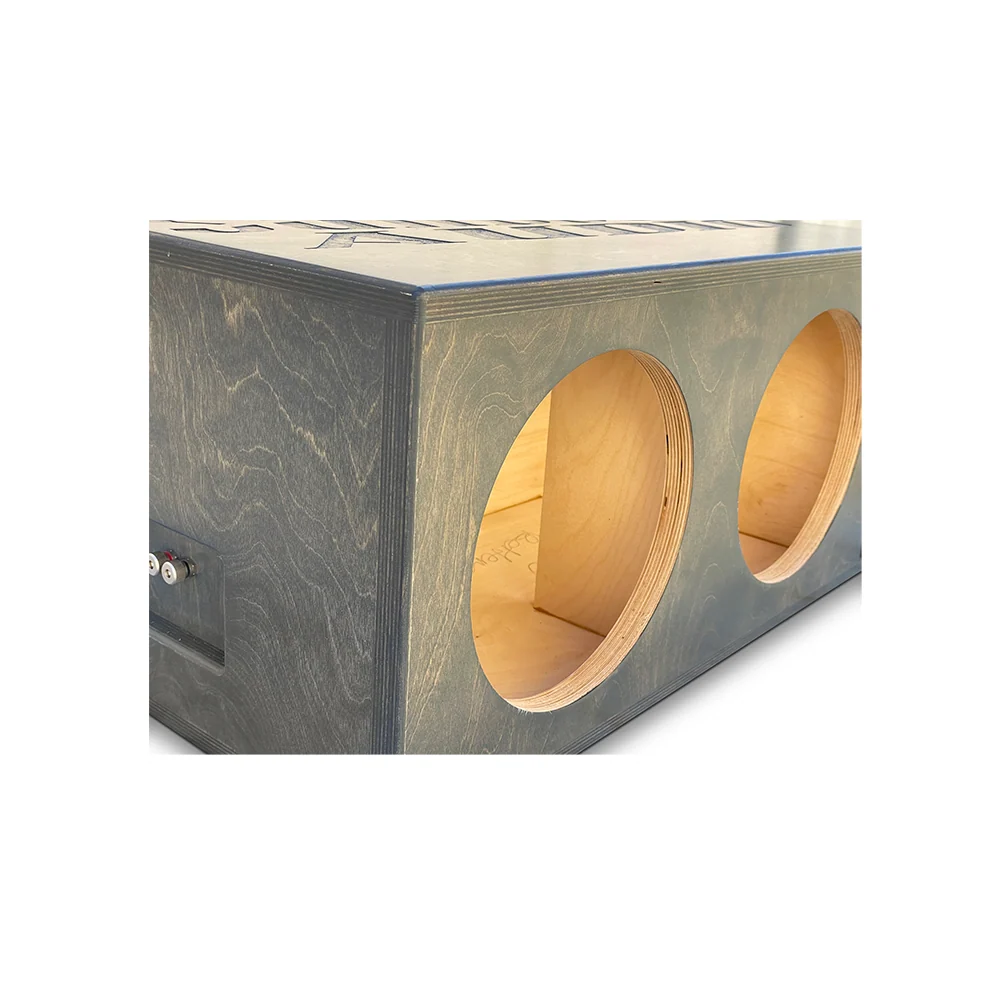 Sundown Audio Dual 15" NSV3 Ported Enclosure - Image 4